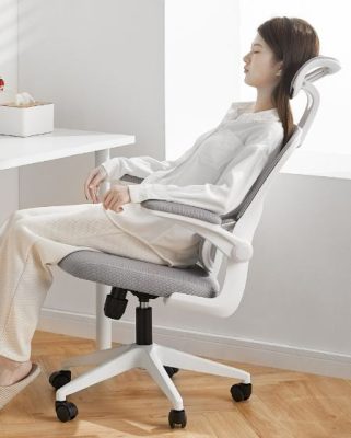 ghế xoay công thái học có đệm lưng giá rẻ thủ dầu một bình dương